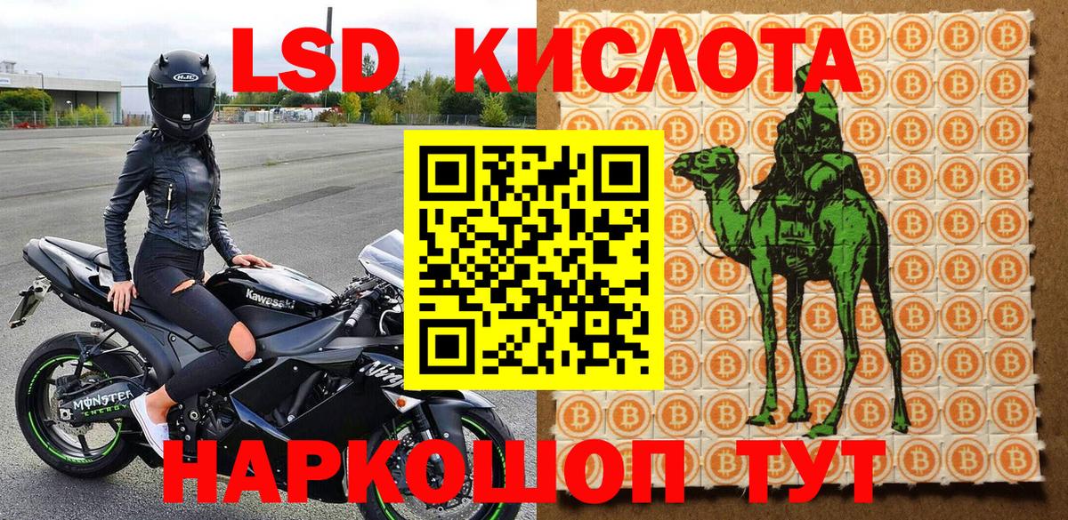 Наркотические марки  Вход с VPN  Лесной  Марки 25I-NBOMe 1,5мг 